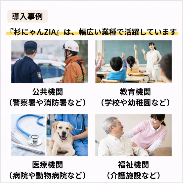 杉にゃんZIA　共通コンテンツ２