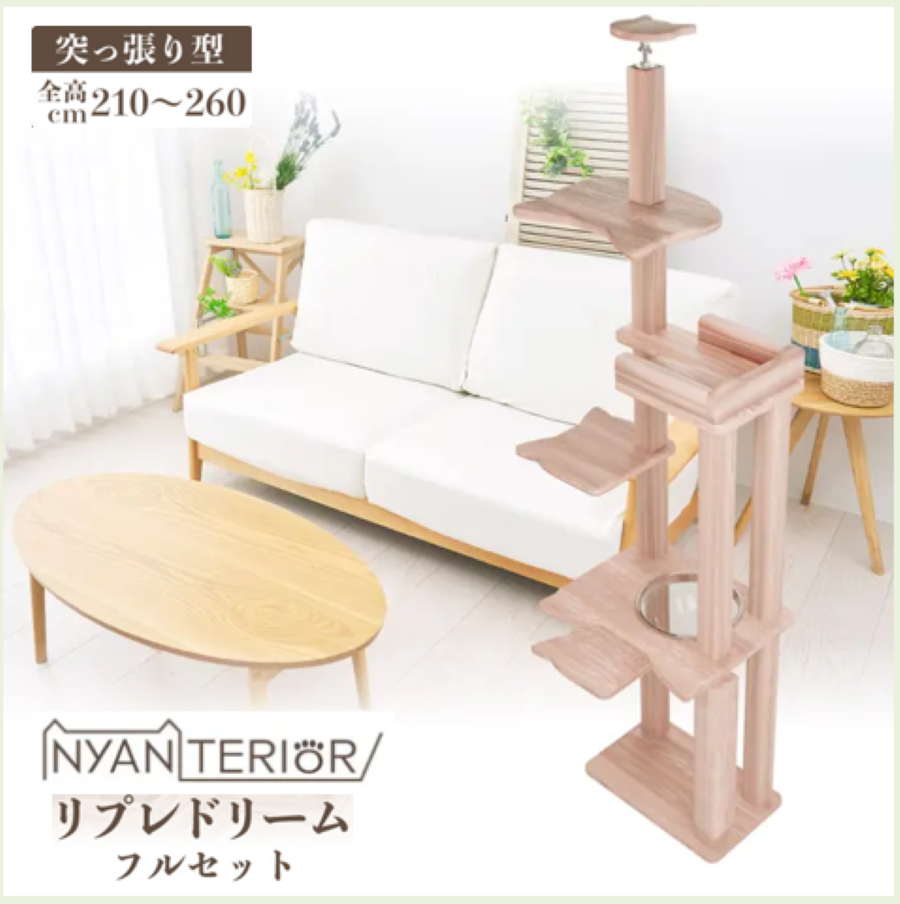 リプレドリーム第一画像