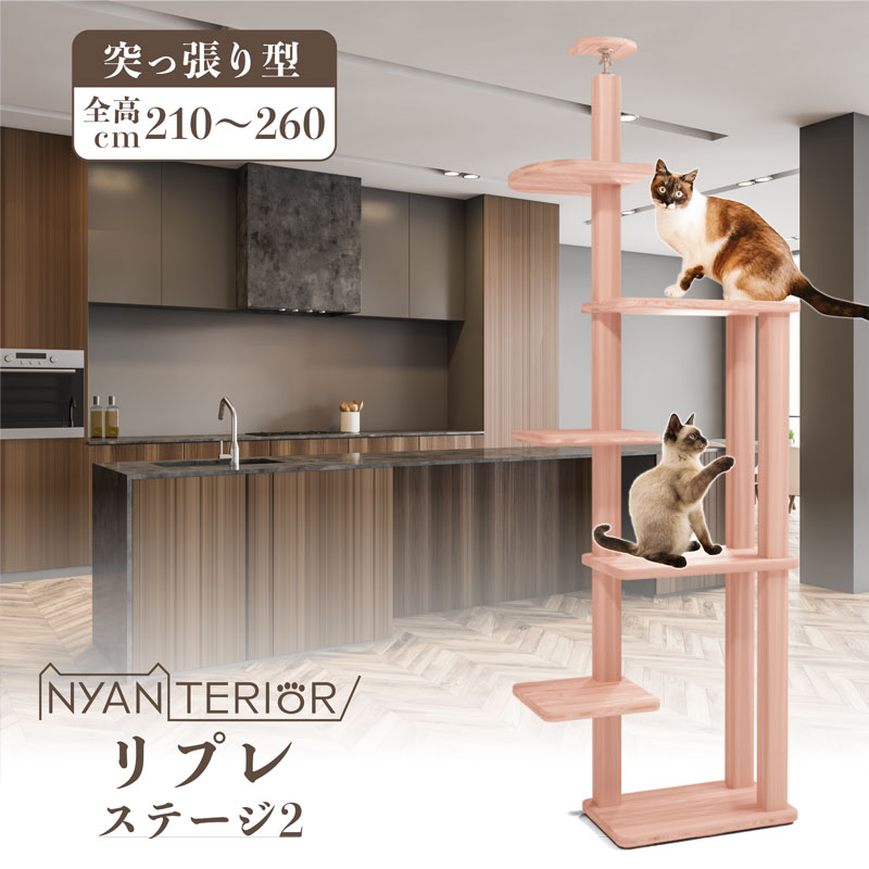 キャットウォーク新築