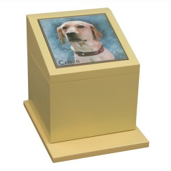 ペットカロートセパレートフルカラー