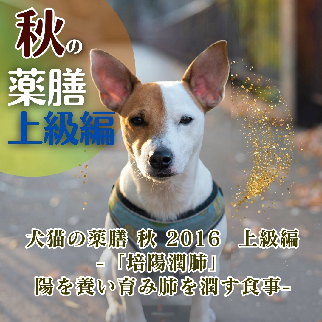 犬猫の薬膳 秋 2016 上級編 - 「培陽潤肺」陽を養い育み肺を潤す食事- (102分)