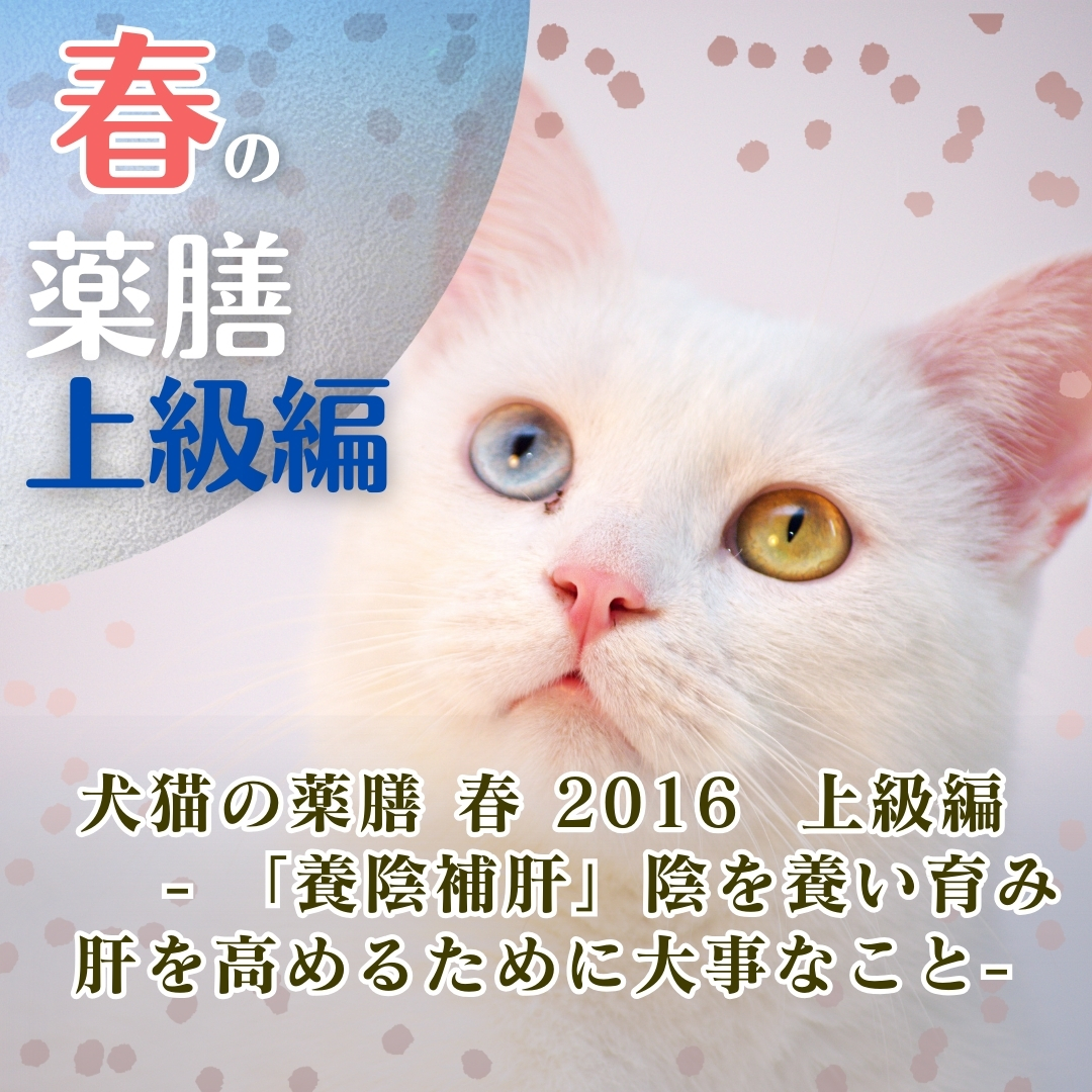 犬猫の薬膳 春 2016 上級編 - 「養陰補肝」陰を養い育み肝を高めるために大事なこと - (116分)