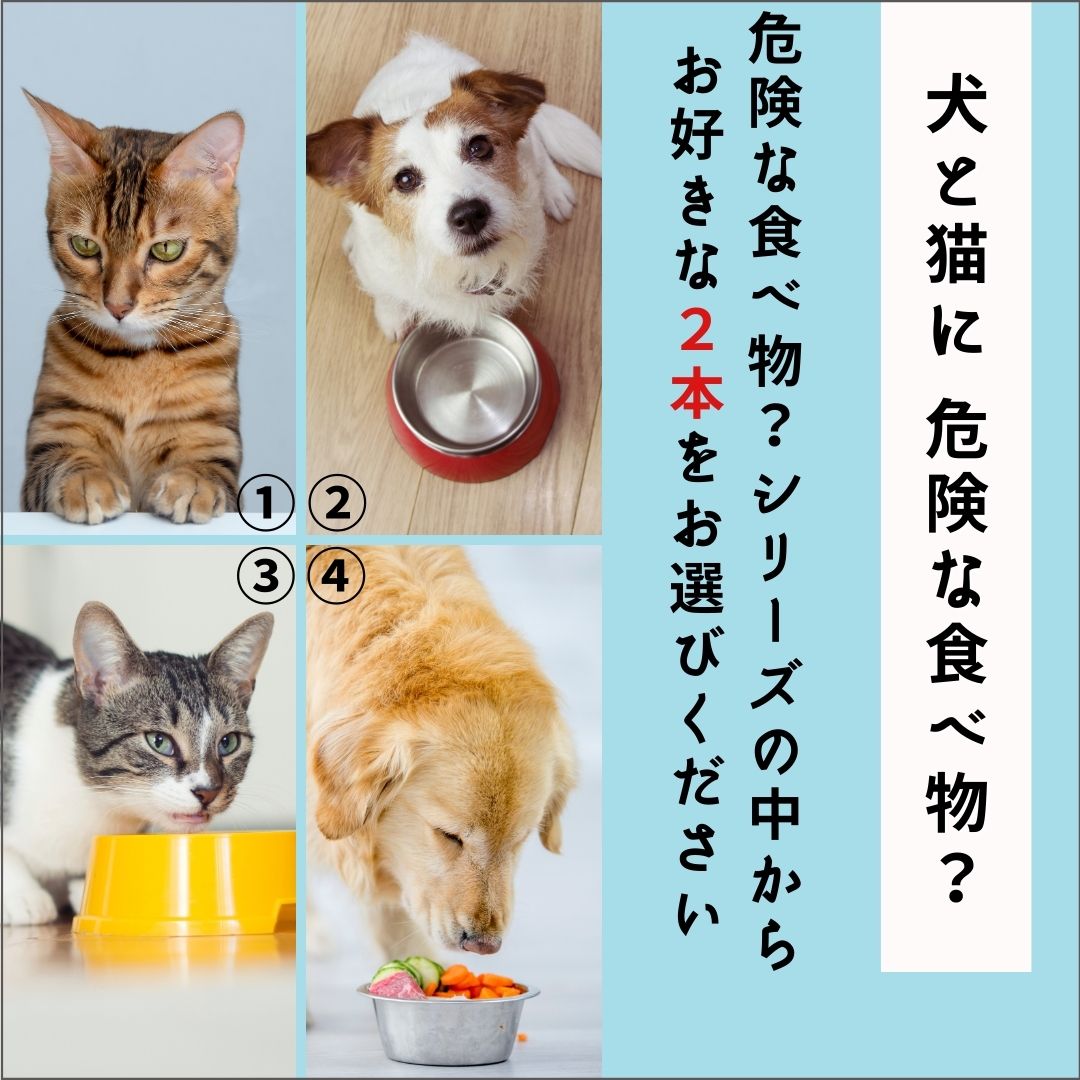 【選べる！2本組セット】犬と猫に危険な食べ物？お好きな2本セット