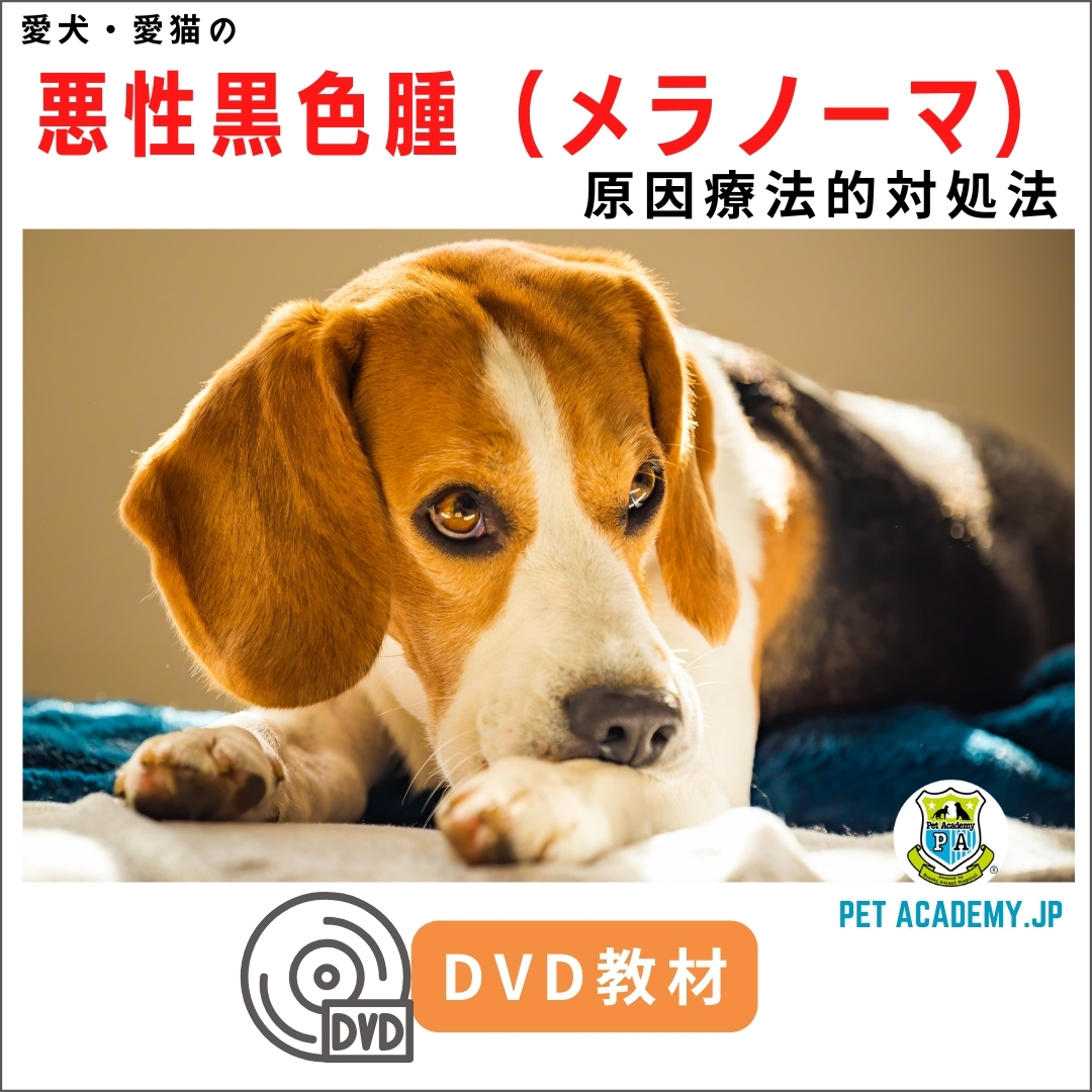 メラノーマ 悪性黒色腫 セミナー17