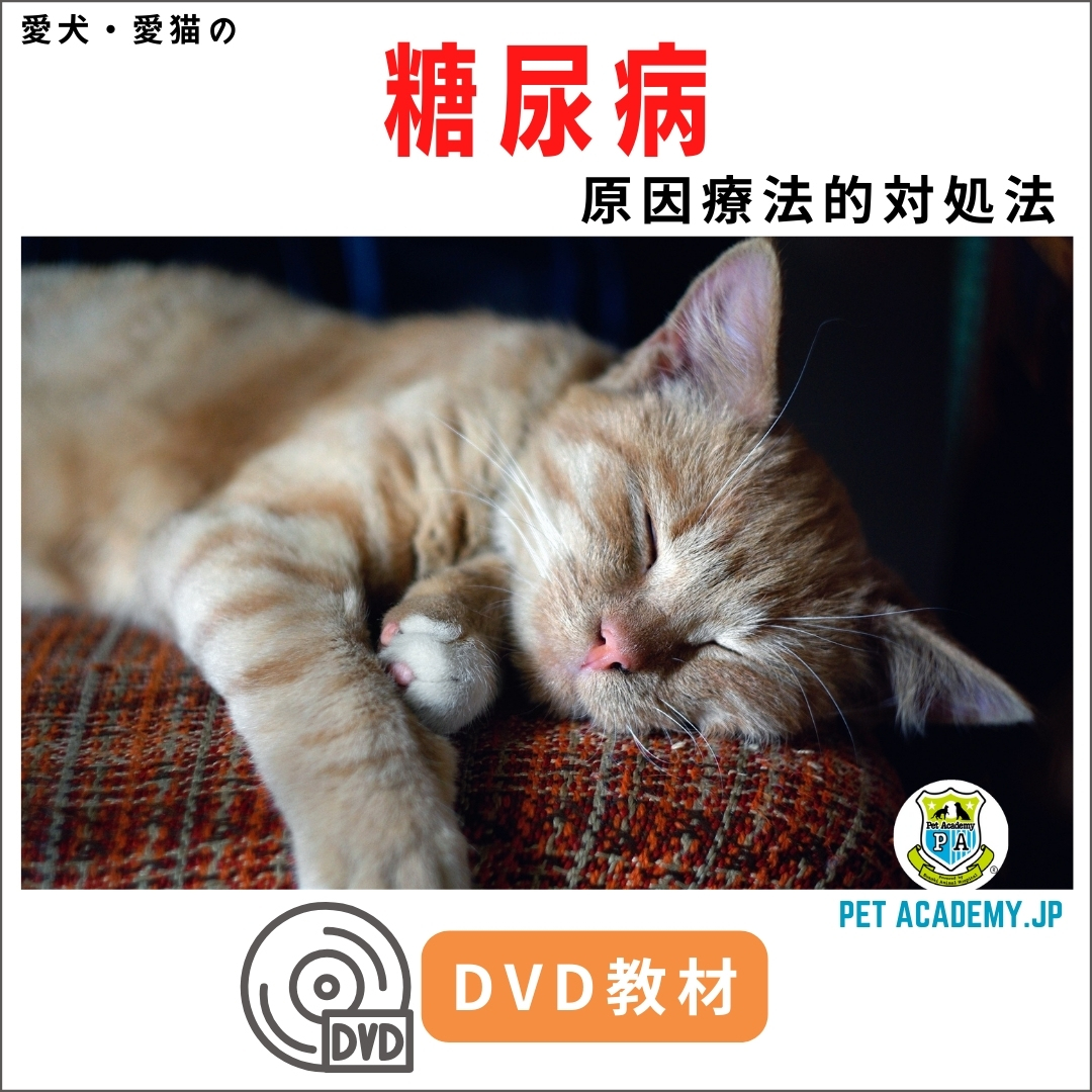 ペットアカデミー 犬猫の薬膳セミナー DVD 4枚組 犬猫の薬膳 春