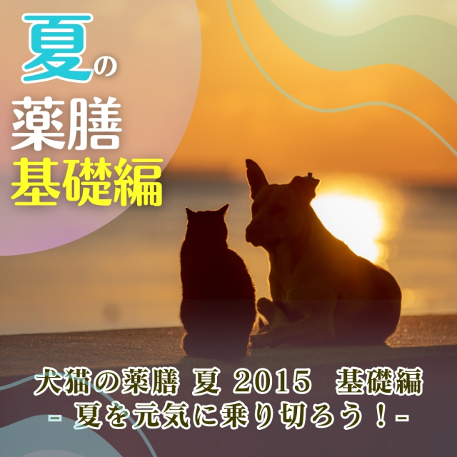 犬猫の薬膳 夏 2015 基礎編 - 夏を元気に乗り切ろう！ - (120分)