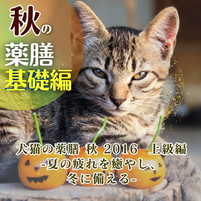 犬猫の薬膳 秋 2016 基礎編 - 夏の疲れを癒やし、冬に備える - (121分)