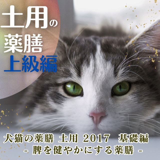 犬猫の薬膳 土用 2017 上級編 - 脾を健やかにする薬膳 - (137分)