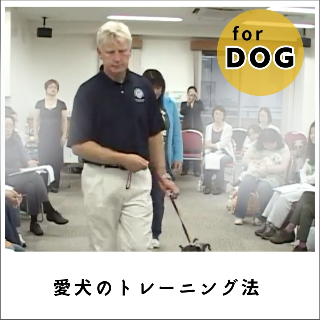 【スティーブ・オースティン】 何歳からでも始められる、失敗しない愛犬のトレーニング法　(295分)