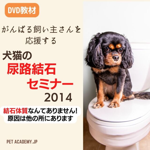 ペットアカデミーセミナー がんばる飼い主さんを応援する犬猫の