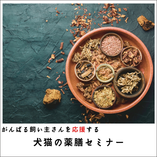 がんばる飼い主さんを応援する 犬猫の薬膳セミナー  (268分)