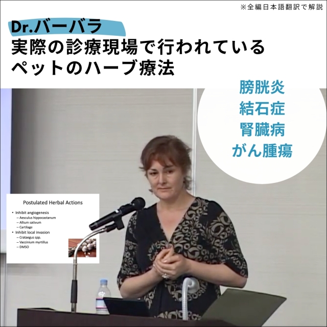 【Dr.バーバラ】 実際の診療現場で行われているペットのハーブ療法 （膀胱炎・結石症・腎臓病・がん腫瘍） (276分)