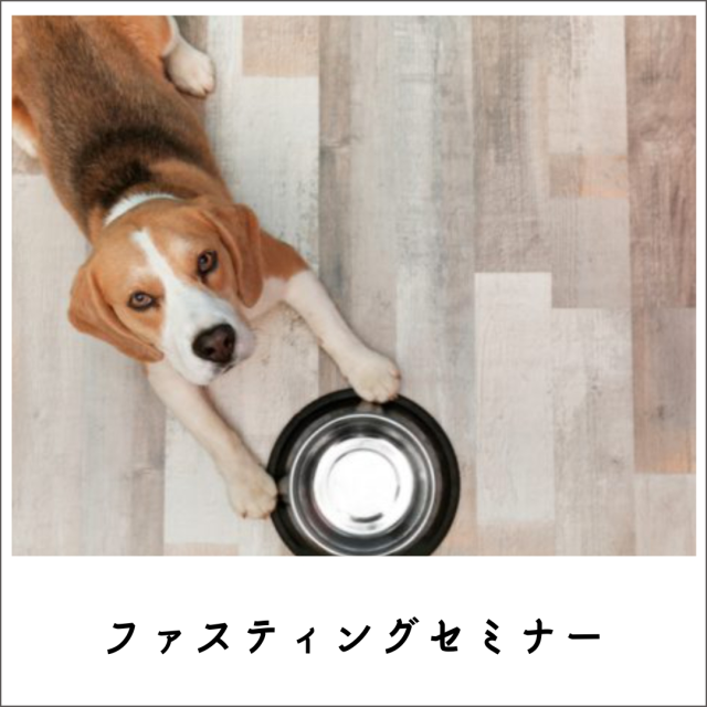 薬に頼らないで体質改善ファスティングセミナー2020 (267分)