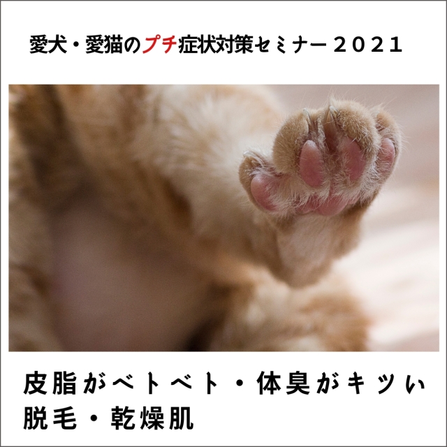 愛犬・愛猫のプチ症状対策セミナー 2021　皮脂がベトベト・体臭がきつい・脱毛・乾燥肌　(106分)