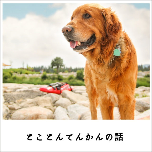 とことんてんかんの話   - 脳だけに問題があるのか？ - (63分)