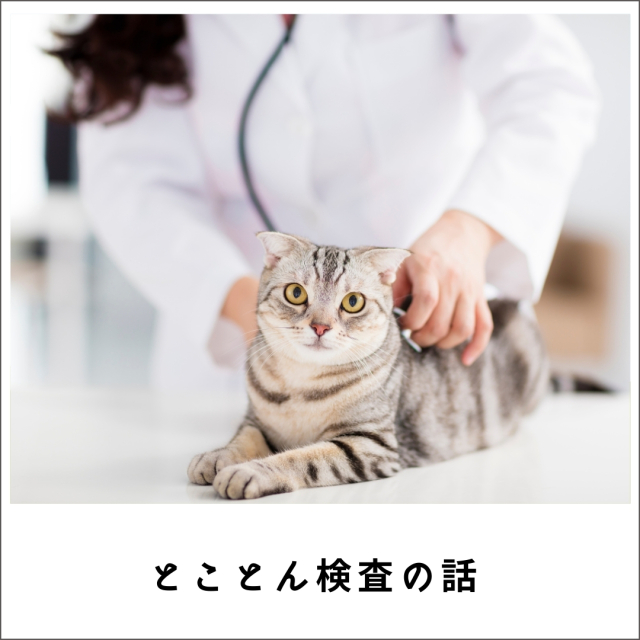 とことん検査の話！2015 - 検査方法から結果（数値）の読み方・とらえ方まで - (143分)