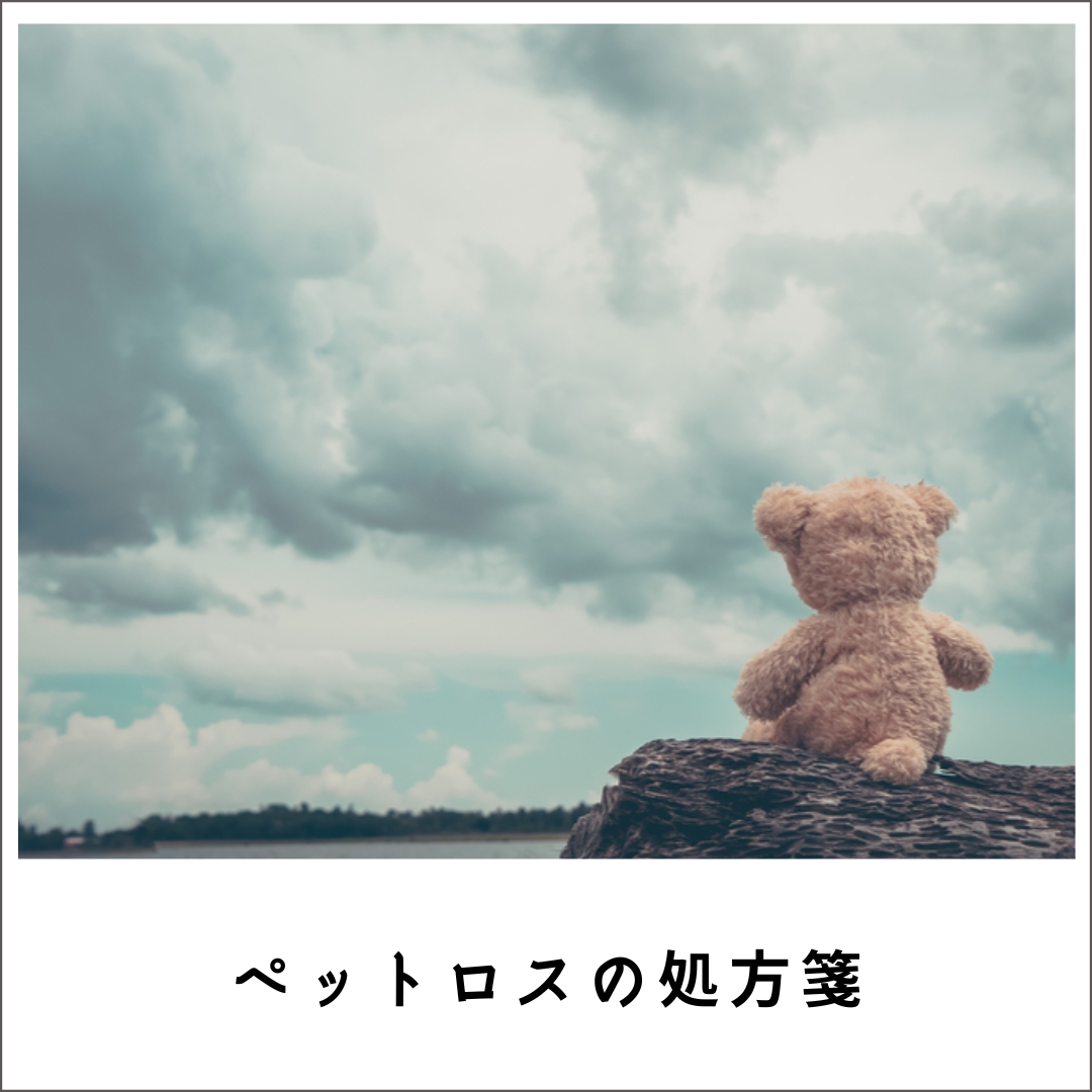 愛犬・愛猫の終活 ペットロスの処方箋2021 (163分)