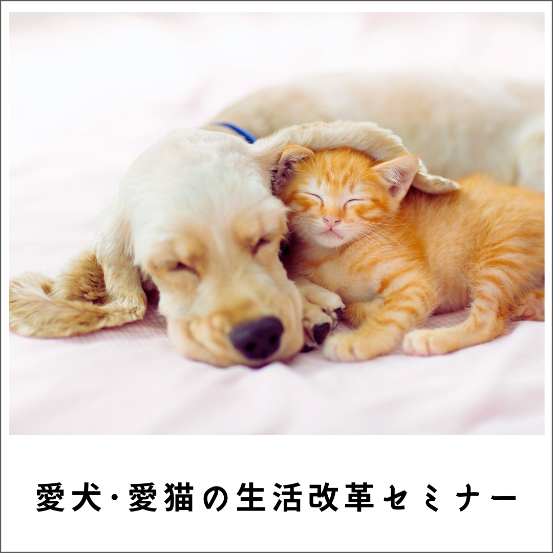 須崎動物病院的 愛犬・愛猫の生活改革セミナー2022　(490分)