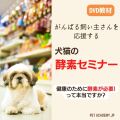がんばる飼い主さんを応援する犬と猫の酵素セミナー