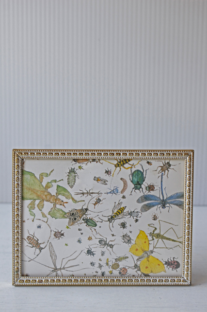 12.5×9.5cm