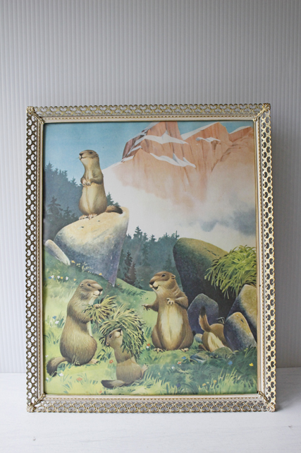 31×28cm