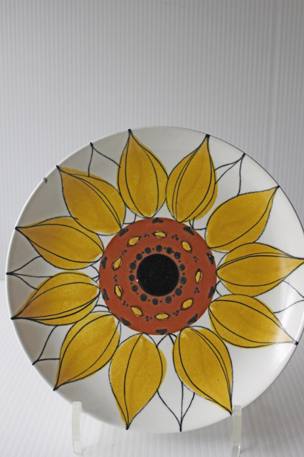 Φ20cm