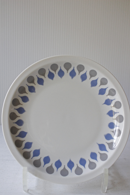 訳アリ/Φ16.5cm/A