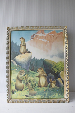 31×28cm