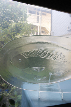50.5×25.5cm