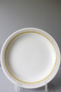 Φ21cm