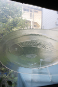 50.5×25.5cm