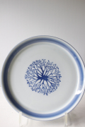 Φ20cm