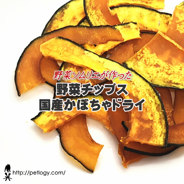 《ネコポスOK》無添加 国産 野菜チップス 国産かぼちゃドライ ｜犬用おやつ