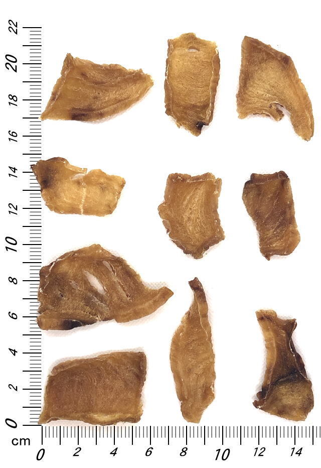 国産サメ ジャーキー　詳細サイズ