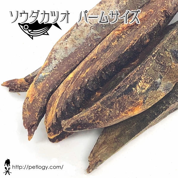 ソウダカツオ パームサイズ │ 犬のおやつ(ペットロジー)