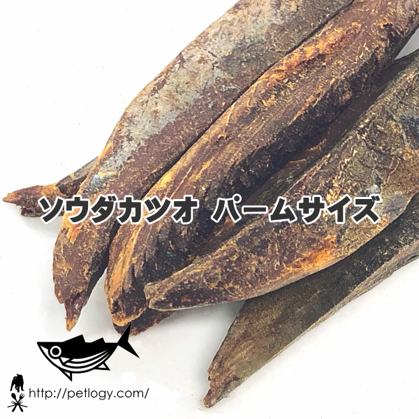 《ネコポスOK》ソウダカツオ パームサイズ|犬用おやつ