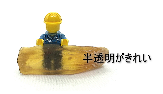 国産馬アキレス　詳細１