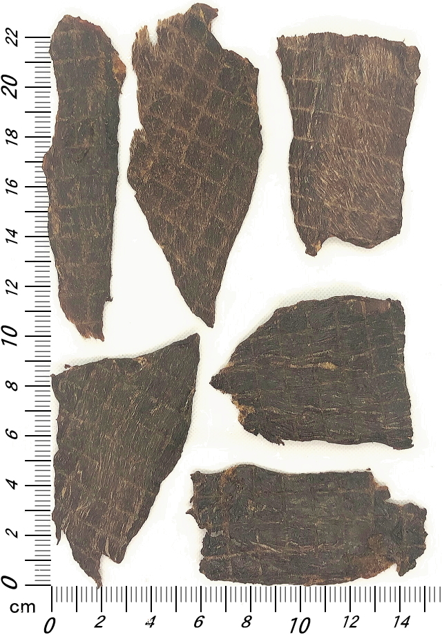 国産馬ジャーキー（犬のおやつ）サイズ│ペットロジー