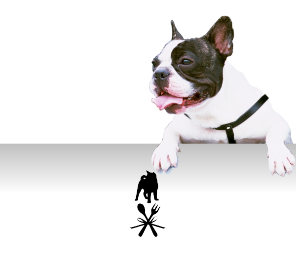 犬の無添加おやつ専門店ペットロジー　カートヘッダー