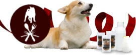 犬の無添加おやつ専門店 国内の素材を使って国内で製造するこだわり犬おやつを製造しています