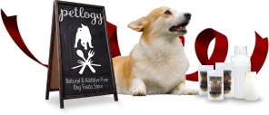 犬の無添加おやつ専門店ペットロジー　petlogy