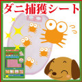 【メール便185円】ニューダニ捕獲シート　大【５枚セット】