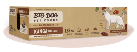 猫用ビッグドッグ・冷凍生食【カンガルー】[12枚入パック]　鳥インフルエンザにより在庫切れ