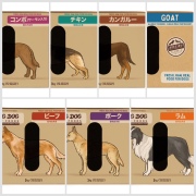 バーフダイエット【お試しパック】［6枚入］
