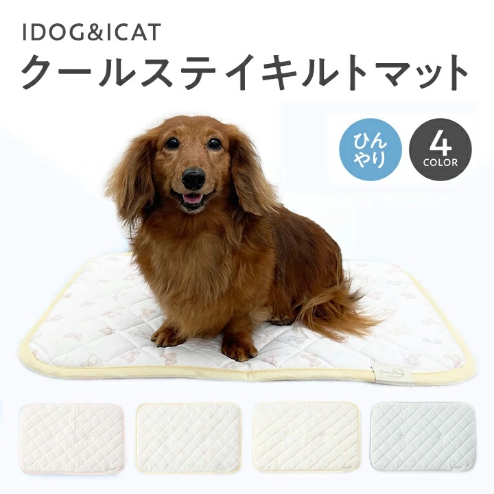 クールステイ