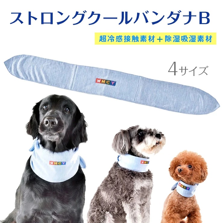 クールバンダナ