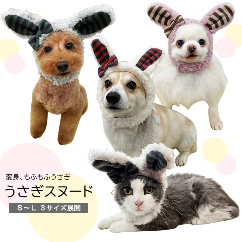 うさぎ