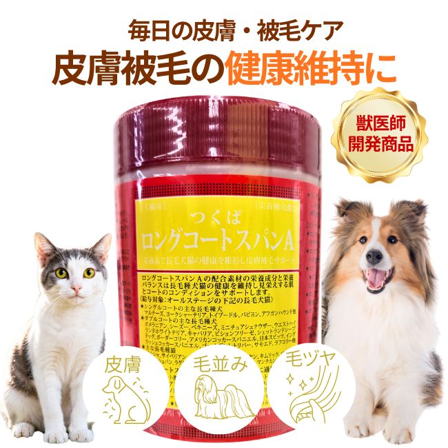 スパン
