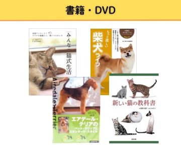 本DVD