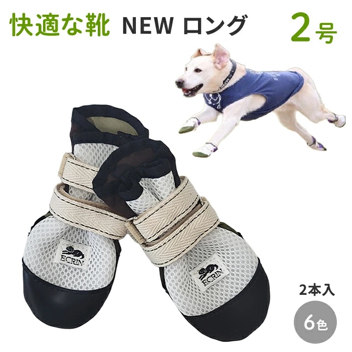 快適な靴　画像　ロング